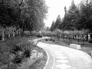 �Gɫ�W�\(y��n)